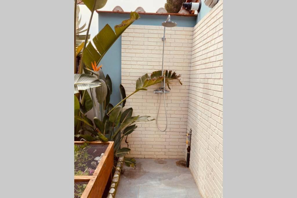 Viareggina Con Giardino Daire Marina Di Pisa Dış mekan fotoğraf