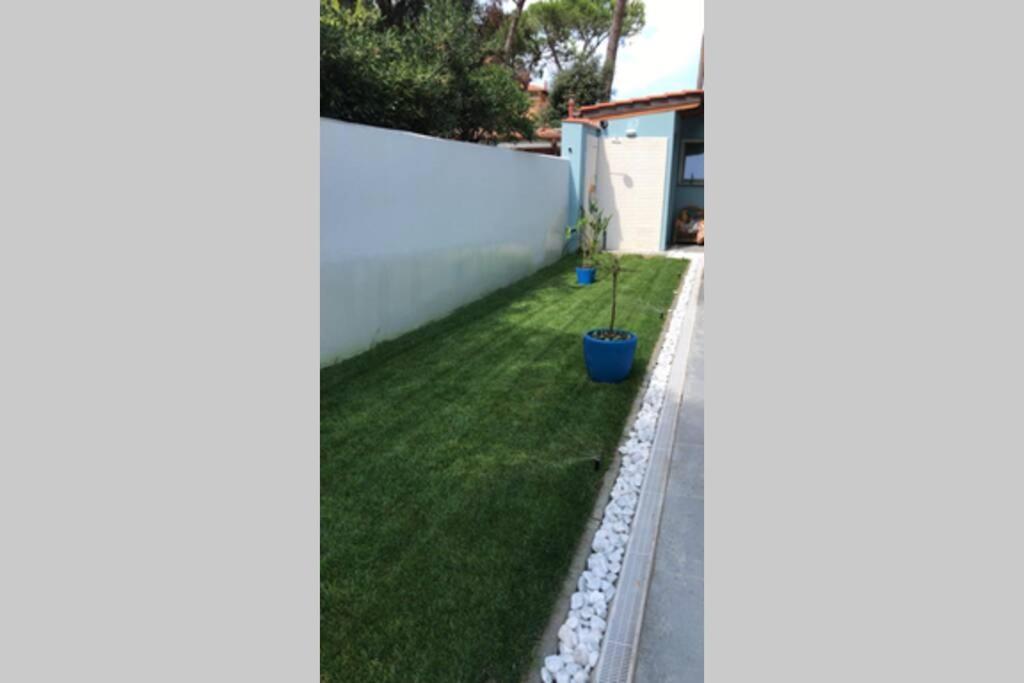 Viareggina Con Giardino Daire Marina Di Pisa Dış mekan fotoğraf